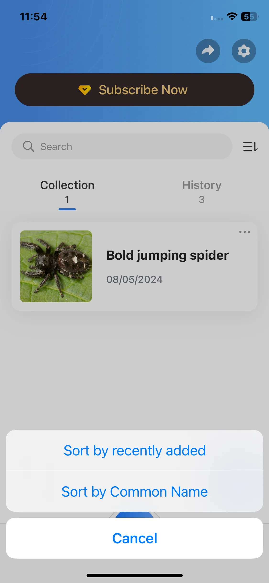 Test Image 4